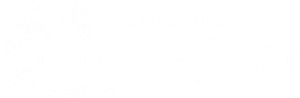 Perrier-Jouet Champagne